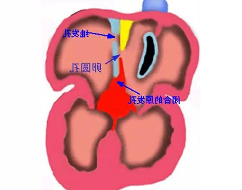 微信图片_20190121164737.jpg